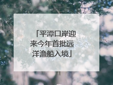 平潭口岸迎来今年首批远洋渔船入境
