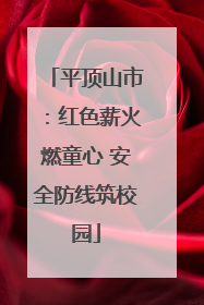 平顶山市：红色薪火燃童心 安全防线筑校园