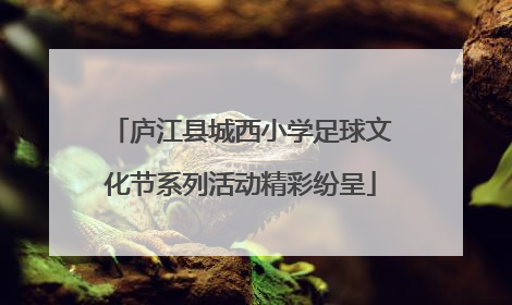 庐江县城西小学足球文化节系列活动精彩纷呈