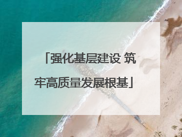 强化基层建设 筑牢高质量发展根基