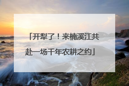 开犁了！来楠溪江共赴一场千年农耕之约