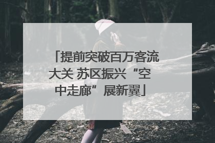 提前突破百万客流大关 苏区振兴“空中走廊”展新翼