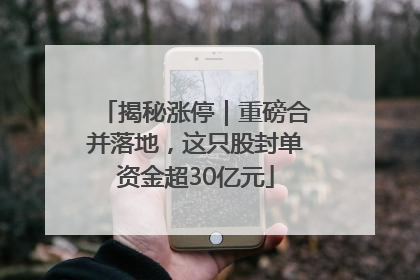 揭秘涨停｜重磅合并落地，这只股封单资金超30亿元