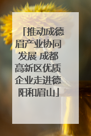 推动成德眉产业协同发展 成都高新区优质企业走进德阳和眉山
