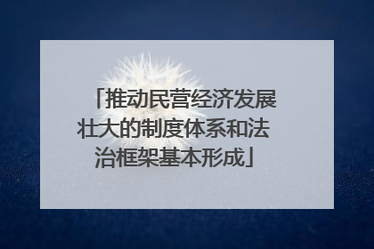 推动民营经济发展壮大的制度体系和法治框架基本形成