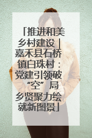 推进和美乡村建设｜嘉禾县石桥镇白珠村：党建引领破“空”局 乡贤聚力绘就新图景