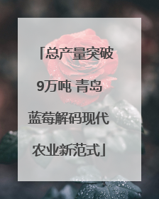 总产量突破9万吨 青岛蓝莓解码现代农业新范式