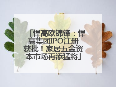 悍高欧锦锋：悍高集团IPO注册获批！家居五金资本市场再添猛将
