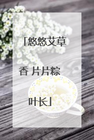悠悠艾草香 片片粽叶长