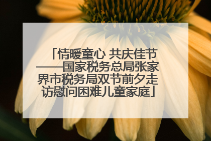 情暖童心 共庆佳节——国家税务总局张家界市税务局双节前夕走访慰问困难儿童家庭