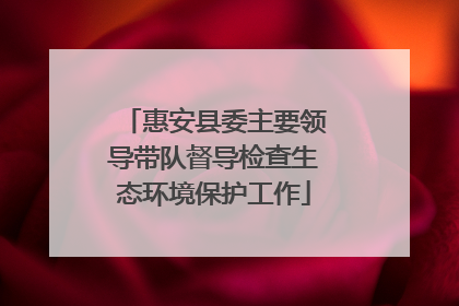 惠安县委主要领导带队督导检查生态环境保护工作
