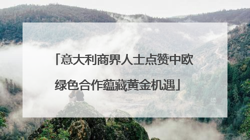 意大利商界人士点赞中欧绿色合作蕴藏黄金机遇