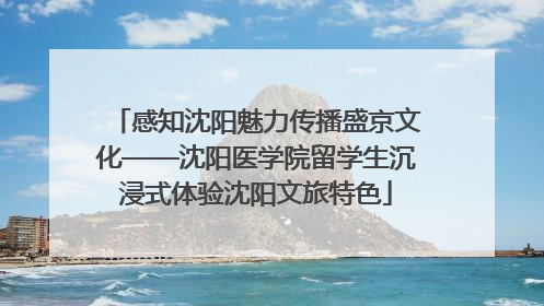 感知沈阳魅力传播盛京文化——沈阳医学院留学生沉浸式体验沈阳文旅特色