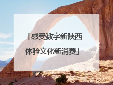 感受数字新陕西 体验文化新消费