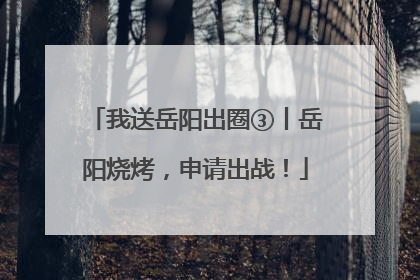 我送岳阳出圈③丨岳阳烧烤，申请出战！