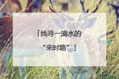 找寻一滴水的“来时路”