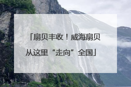 扇贝丰收！威海扇贝从这里“走向”全国