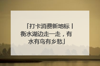 打卡消费新地标丨衡水湖边走一走，有水有鸟有乡愁