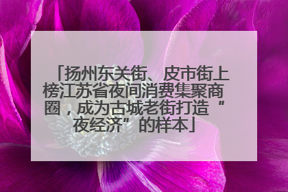 扬州东关街、皮市街上榜江苏省夜间消费集聚商圈，成为古城老街打造“夜经济”的样本