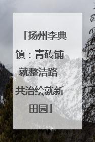 扬州李典镇：青砖铺就整洁路 共治绘就新田园