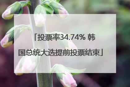 投票率34.74% 韩国总统大选提前投票结束