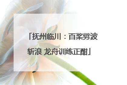 抚州临川：百桨劈波斩浪 龙舟训练正酣