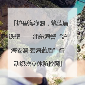 护碧海净浪，筑蓝盾铁壁——浦东海警“沪海安澜·碧海蓝盾”行动织密立体防控网