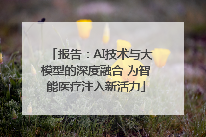 报告：AI技术与大模型的深度融合 为智能医疗注入新活力