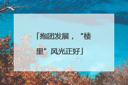 抱团发展，“楼里”风光正好