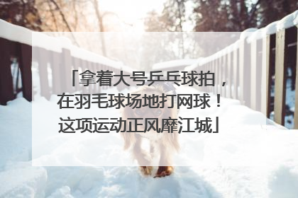 拿着大号乒乓球拍，在羽毛球场地打网球！这项运动正风靡江城