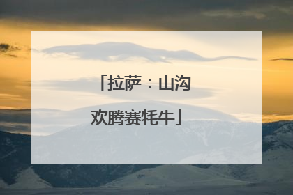 拉萨：山沟欢腾赛牦牛