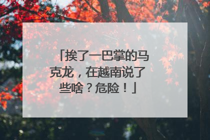挨了一巴掌的马克龙，在越南说了些啥？危险！