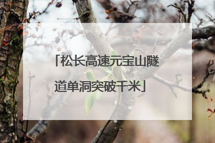松长高速元宝山隧道单洞突破千米
