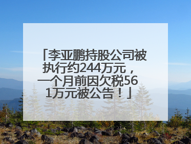 李亚鹏持股公司被执行约244万元，一个月前因欠税561万元被公告！