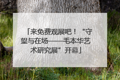 来免费观展吧！“守望与在场——毛本华艺术研究展”开幕