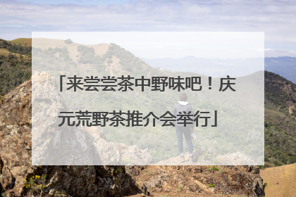 来尝尝茶中野味吧！庆元荒野茶推介会举行