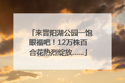 来晋阳湖公园一饱眼福吧！12万株百合花热烈绽放……