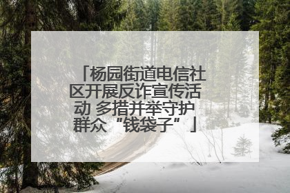 杨园街道电信社区开展反诈宣传活动 多措并举守护群众“钱袋子”