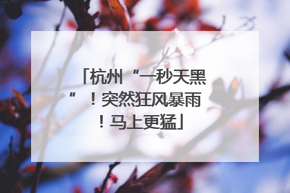 杭州“一秒天黑”！突然狂风暴雨！马上更猛