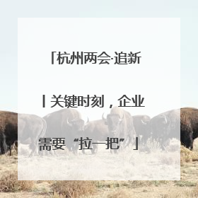 杭州两会·追新丨关键时刻，企业需要“拉一把”