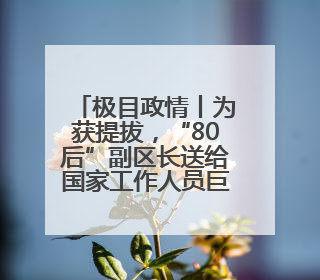 极目政情丨为获提拔，“80后”副区长送给国家工作人员巨额财物被“双开”