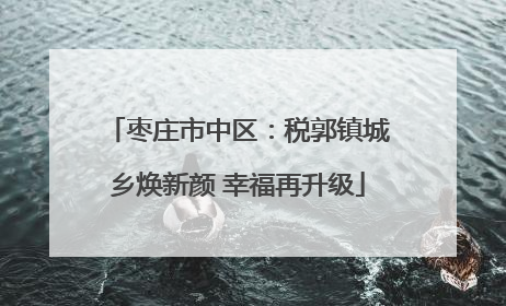 枣庄市中区：税郭镇城乡焕新颜 幸福再升级