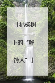 枯杨树下的“解铃人”