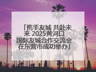 携手友城 共赴未来 2025黄河口国际友城合作交流会在东营市成功举办