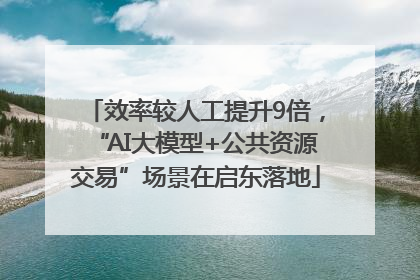效率较人工提升9倍，“AI大模型+公共资源交易”场景在启东落地