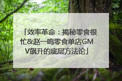 效率革命：揭秘零食很忙&赵一鸣零食单店GMV飙升的底层方法论