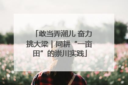 敢当弄潮儿 奋力挑大梁｜同耕“一亩田”的崇川实践