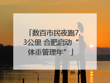 数百市民夜跑7.3公里 合肥启动“体重管理年”
