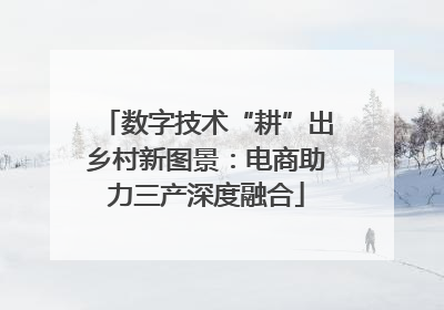 数字技术“耕”出乡村新图景：电商助力三产深度融合