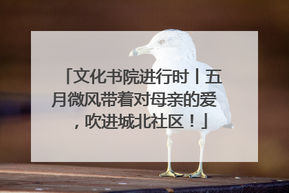 文化书院进行时丨五月微风带着对母亲的爱，吹进城北社区！